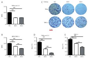 Figure from article: Suppressing Dicer inhibits...